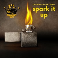 Spark It Up - Single - Thunderchunkybeats
