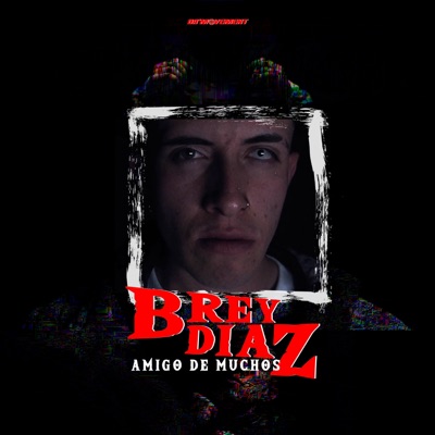 Amigo de Muchos - Single