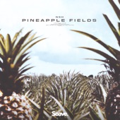 Pineapple Fields artwork