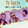 Te Gusta - Young D, Ir-Sais & Ayo Jay