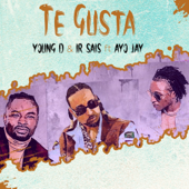 Te Gusta - Young D, Ir-Sais & Ayo Jay