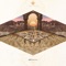 Temple of Time (Hraach Remix) - Mark Alow lyrics