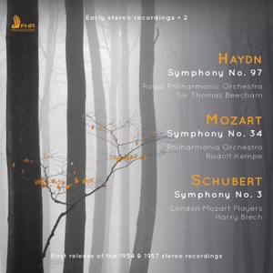 Salve Regina in G Minor, Hob. XXIIIb:2: I. Adagio