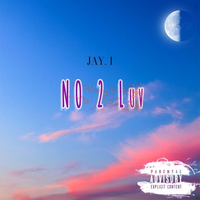 No 2 Luv - Single