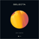 Selecta (Extended Mix) - Daffy Muffin
