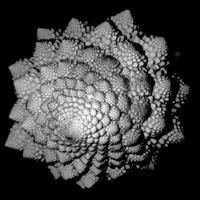 Tribal Vibes - Single - Whyen