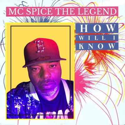 How Will I Know - Single