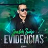 Evidencias - Single