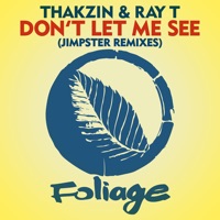 Don’t Let Me See (Jimpster Remixes) - Single - Thakzin, Ray T & Jimpster