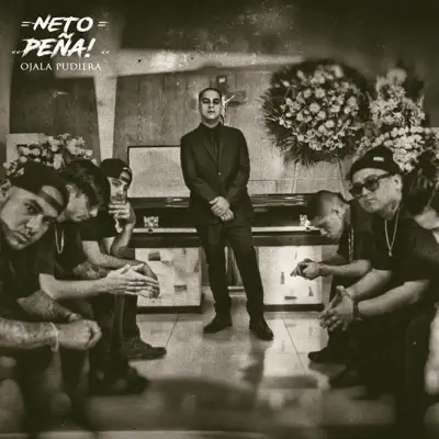 Ojalá Pudiera - Single - Neto Peña