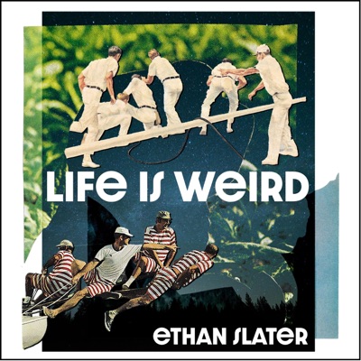 Life Is Weird - Single