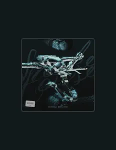 Escucha a PLTN, mira vídeos musicales, lee la biografía, consulta fechas de giras y mucho más.