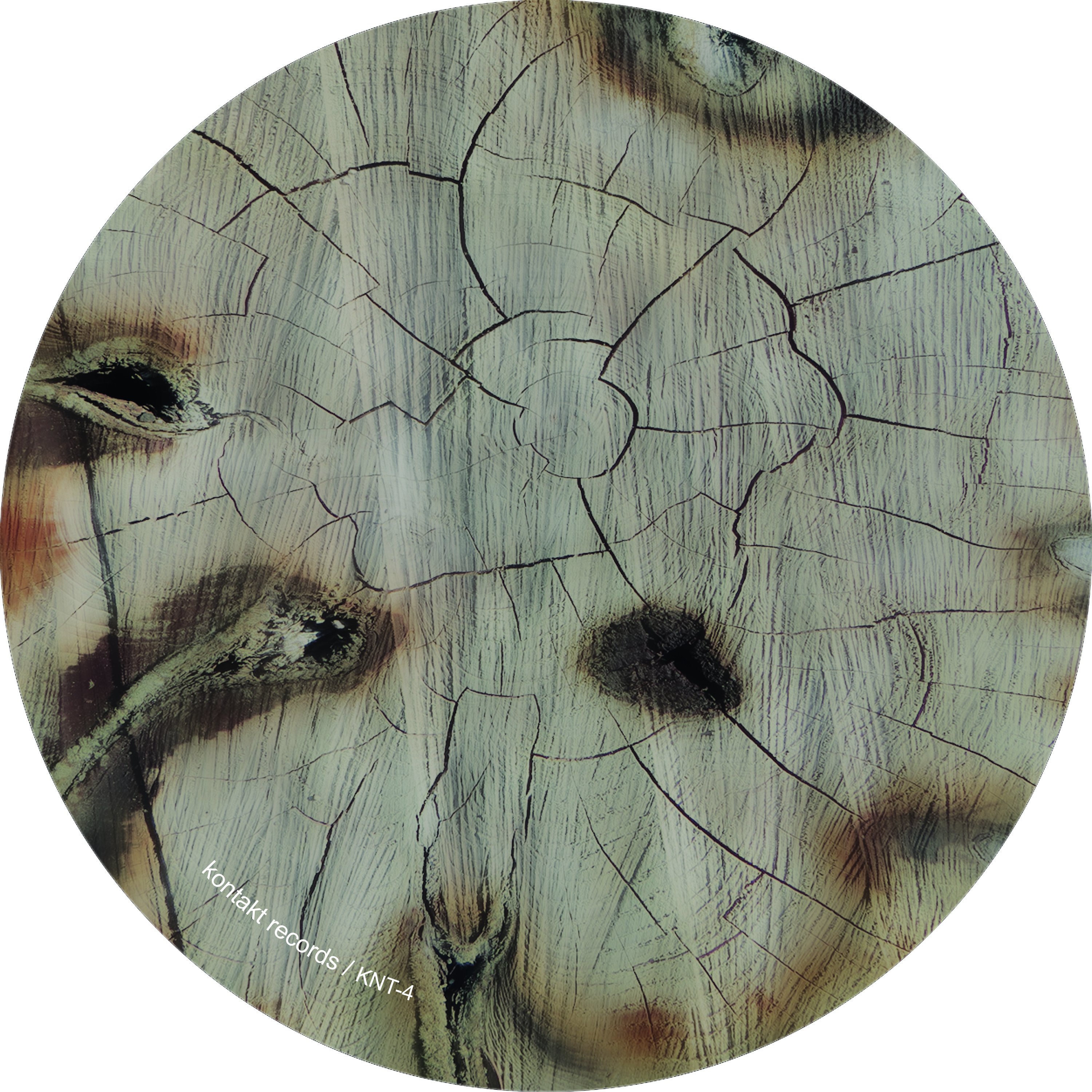 Christa Mcauliffe - Single