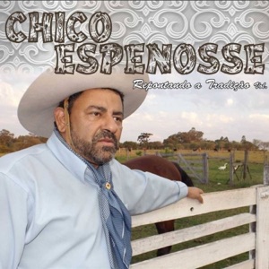 Sou do Rio Grande Campeiro (feat. Mano Lima)