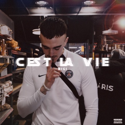 C'est la vie - Single