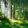 The Secret - Single