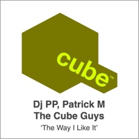 The Way I Like - Single - DJ PP, Patrick M & The Cube Guys