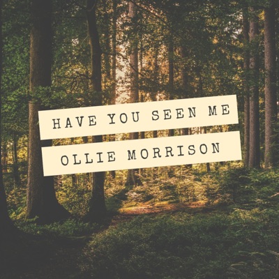 Have You Seen Me - Single