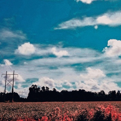 Your Hometown Will Kill You - Single