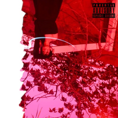 Broken Like the Leaves (feat. I.N.O.) - Single
