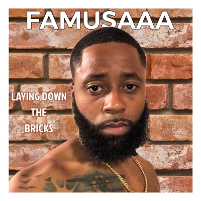 Laying Down the Bricks - Single