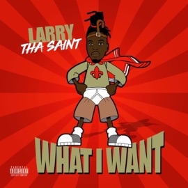 What I Want Larry Saint