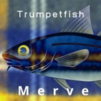Trumpetfish - Single