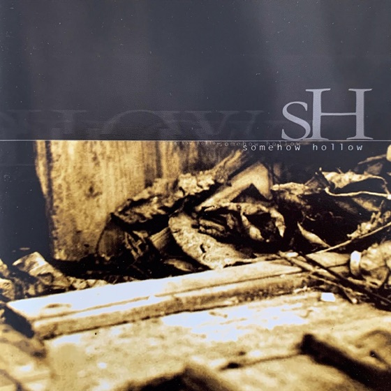 Cover artwork for Citys Sinking