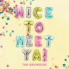Nice to Meet Ya! - Single artwork