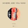 StadiumX - Where Are You Now