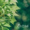 Cool Breeze - Rivizion lyrics