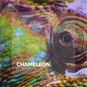 Chameleon (Live Stream Part 1) artwork