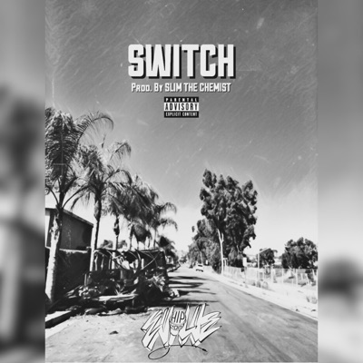 Switch - Single