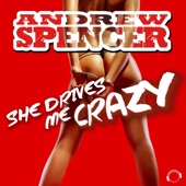 She Drives Me Crazy (Extended Mix) artwork