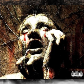 Ride Slow Meta Blxxd