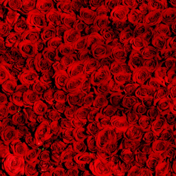 Till rosorna - EP