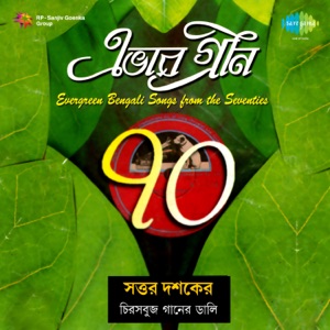 Evergreen 70's Modern Songs - Single