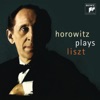 Vladimir Horowitz