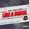 Like a Check (feat. Georgia Gold & Solo Lucci) - YK-TMV lyrics