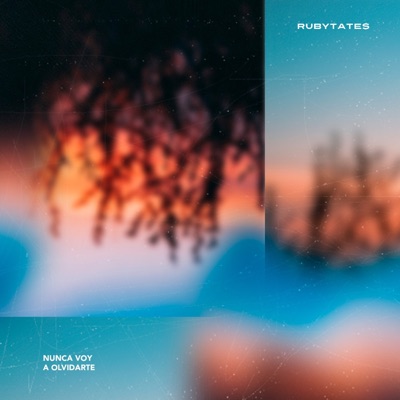 Nunca Voy a Olvidarte - Single