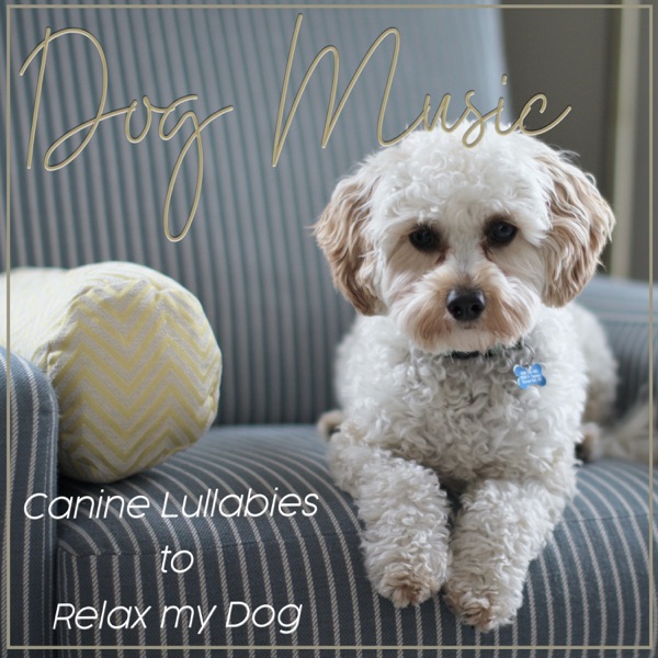 Dog Music: Canine Lullabies to Relax My Dog