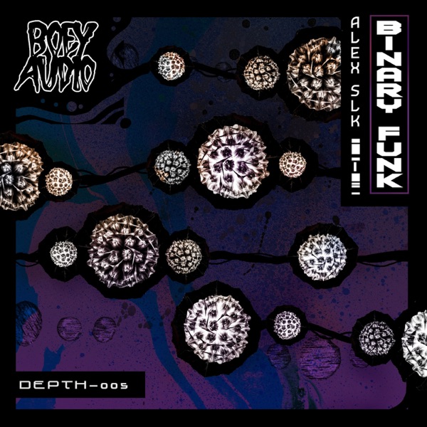 Binary Funk - Single