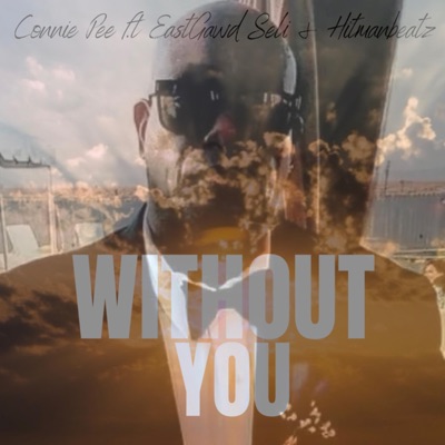 Without You (feat. Hitman Beatz & EastGawd Seli) - Single