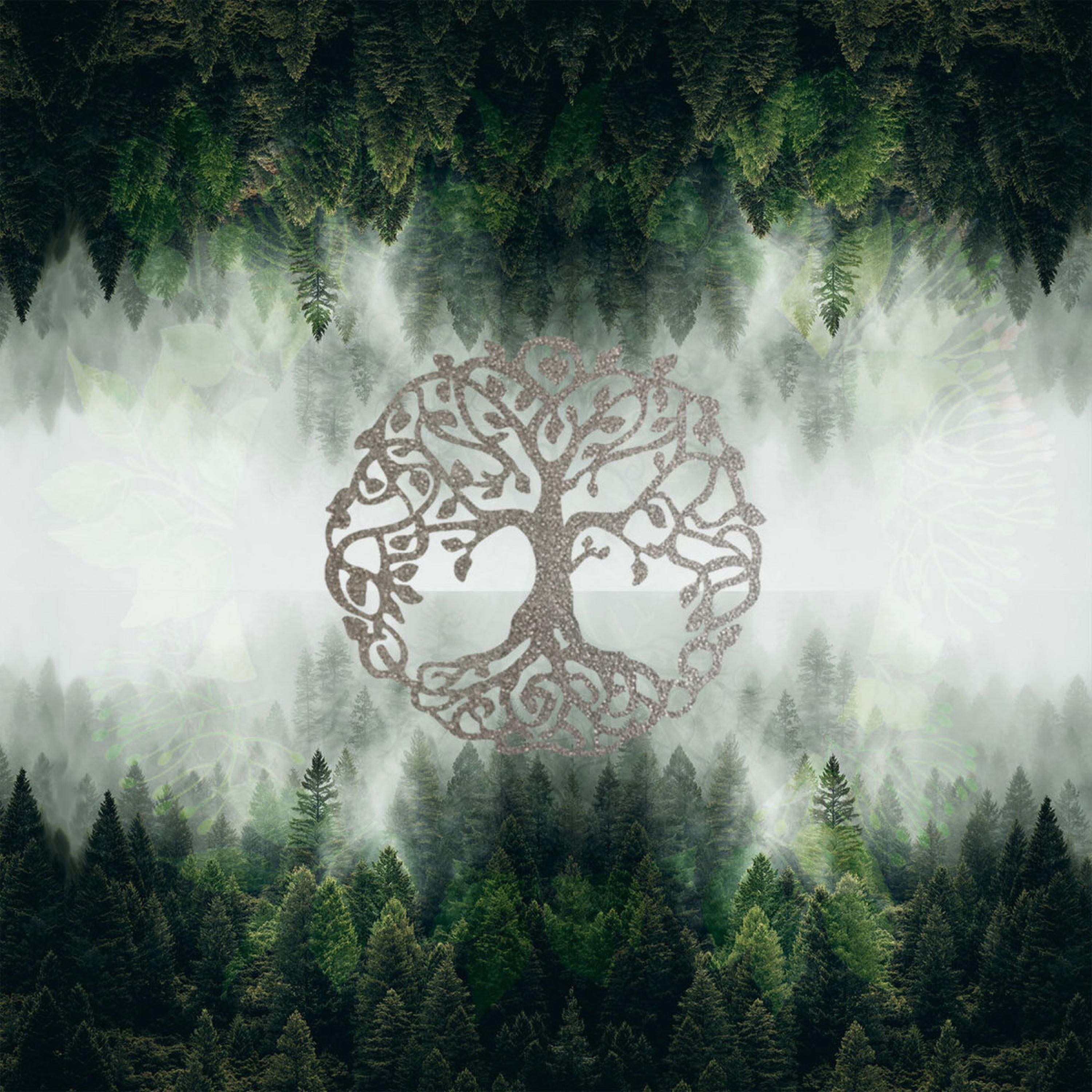 Hedge Witch Ambient Meditation (Elven Voices & Drone)