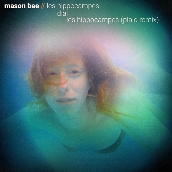 Les Hippocampes - Single