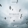 Птахи - Single, 2022