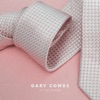 Gary Combs - Sassy