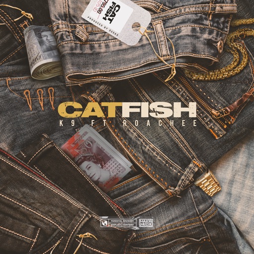 Album artwork