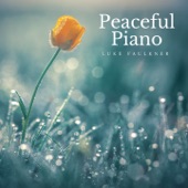 Peaceful Piano artwork