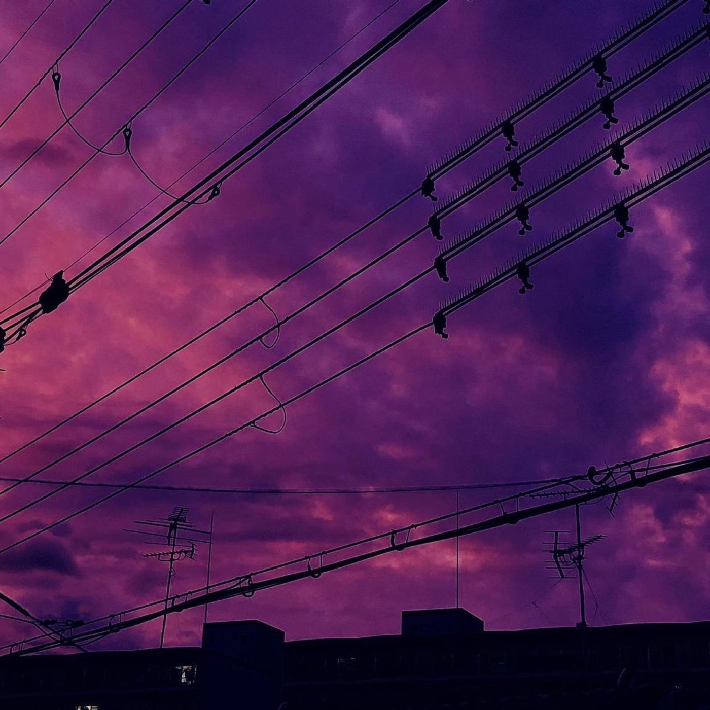 Purple Skies by Vinny McBeth